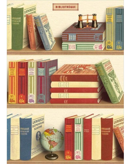 Cavallini Library Books Poster Wrap
