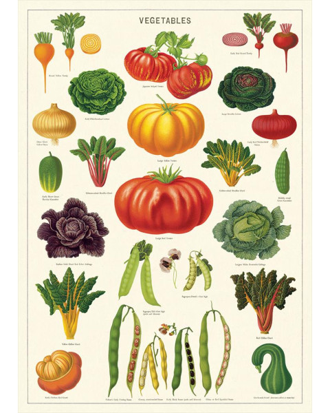 Cavallini Vegetable Garden Poster Wrap