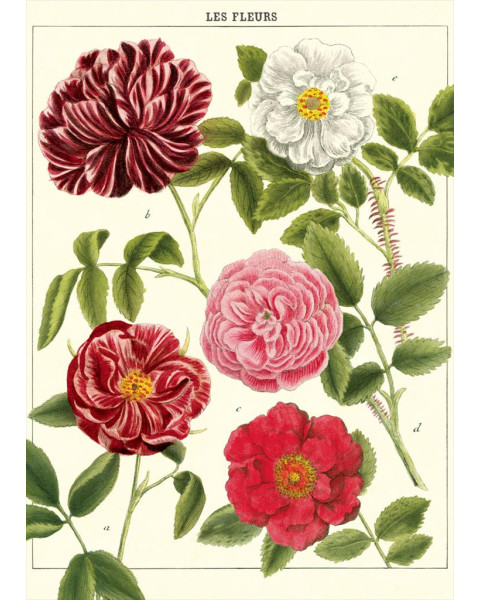 Cavallini Les Fleurs Poster Wrap