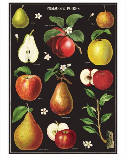 Cavallini Apples and Pears Poster Wrap