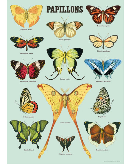 Cavallini Papillons Poster Wrap