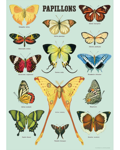 Cavallini Papillons Poster Wrap