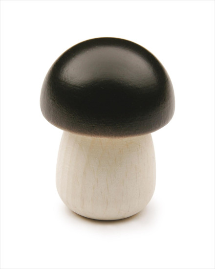 Erzi Large Porcini Mushroom