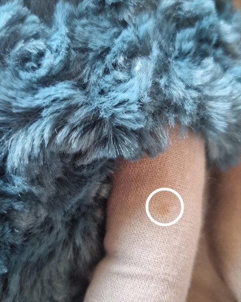 Imperfect Maileg Bunny Size 5, Ballerina - Petrol