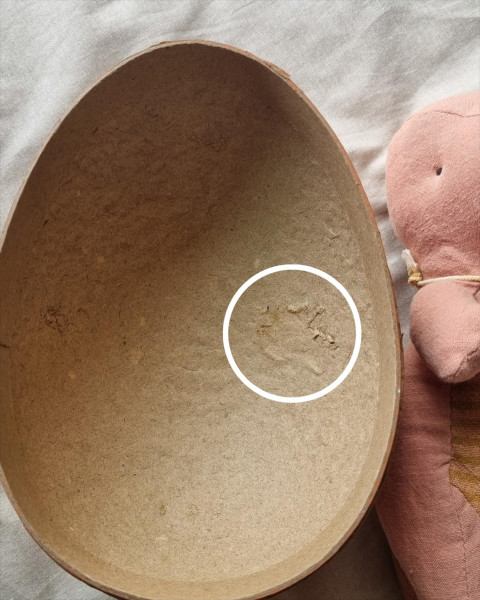 Imperfect Maileg Gantosaurus in Egg, Small - Rose